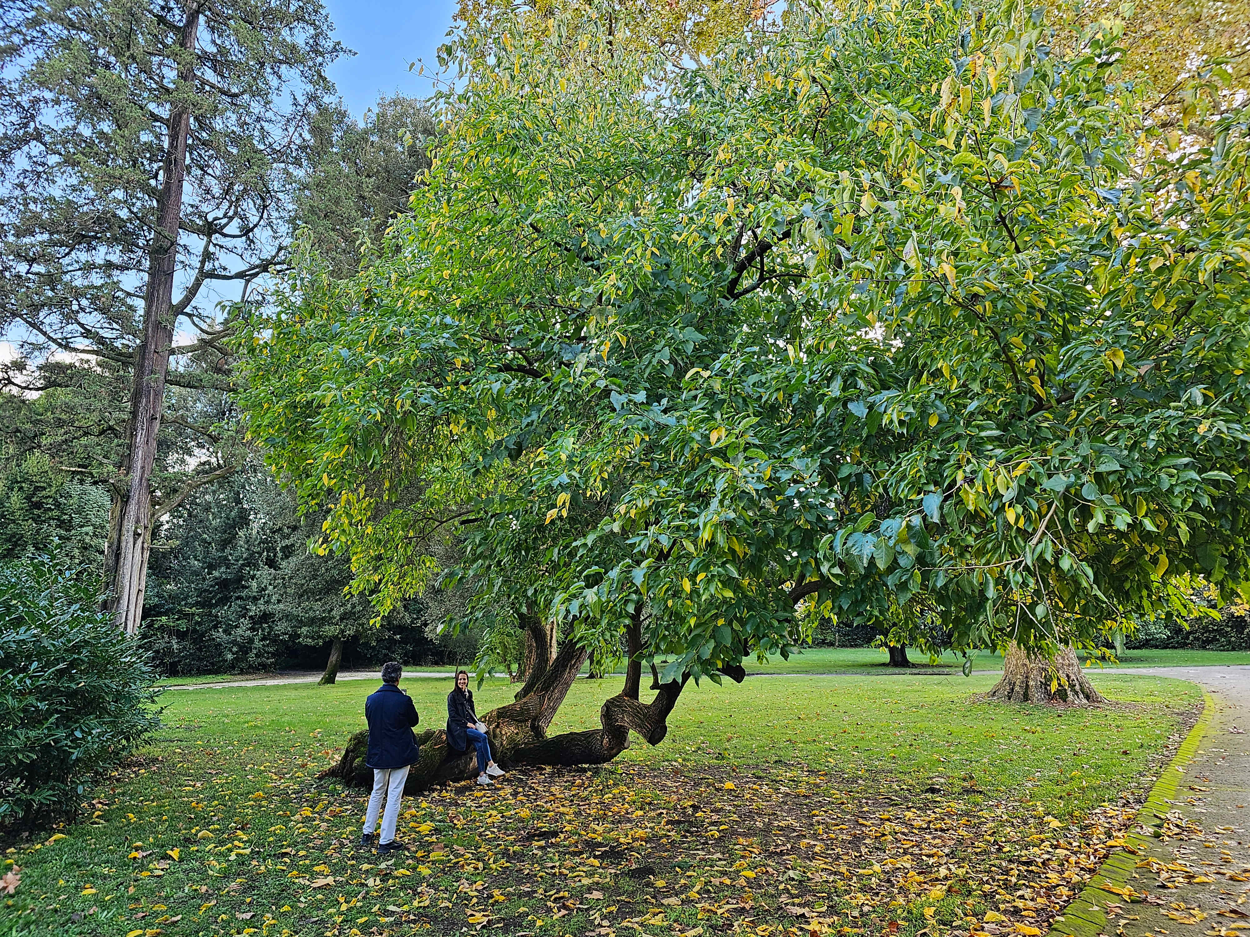 English Garden